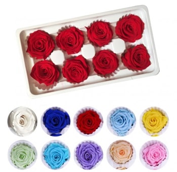 Preserved Roses Gift Box- 60 Blooms - Choose your colors