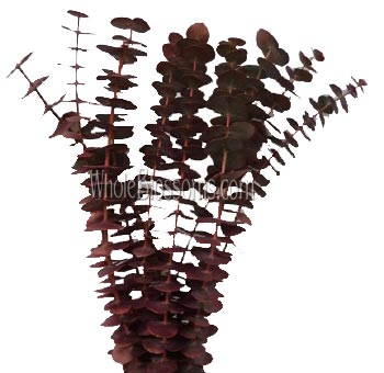 Eucalyptus – Metallic Red Filler Flowers