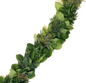 Salal Parvifolia and Seeded Eucalyptus Garland - 9 in (Full)