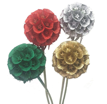 Scabiosa Pods Tinted Assorted