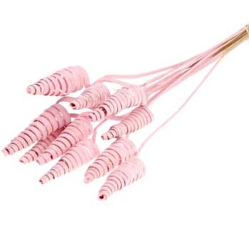 Cane Cone Dried - Pink