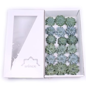 Succulents Aqua Gift Box
