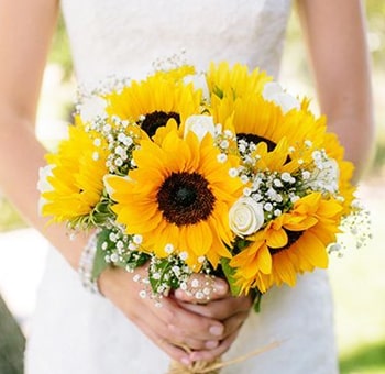 Pkg Details about   Wedding flowers bridal bouquets decorations pkg sunflowers burg navy 15 pc 