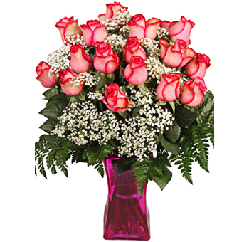 Pink Sensation Valentine's Gift Flowers