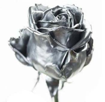 Wax Rose - Silver