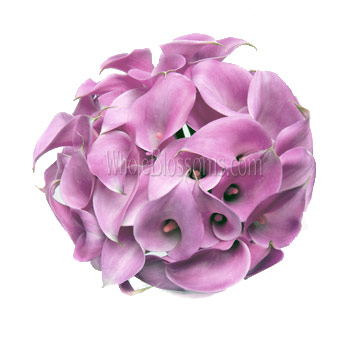 Pink Purple Cast Calla Lily Bridesmaid Bouquets