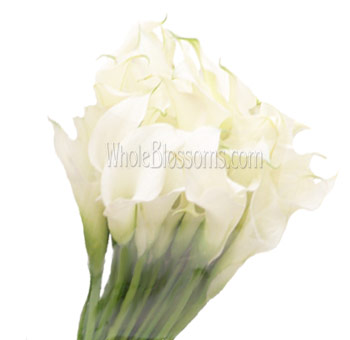 White Mini Calla Lilies Bridesmaid Bouquets