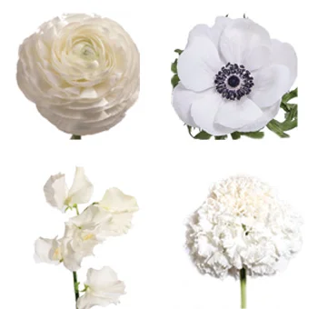 All-White Floral Bundle: Anemones, Ranunculus, Scabiosa, Sweet Peas for weddings.