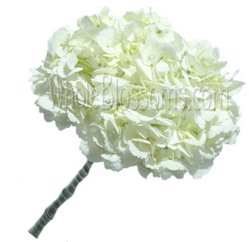 White Hydrangea Round Bridal Bouquet