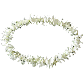 Lei White Flowers