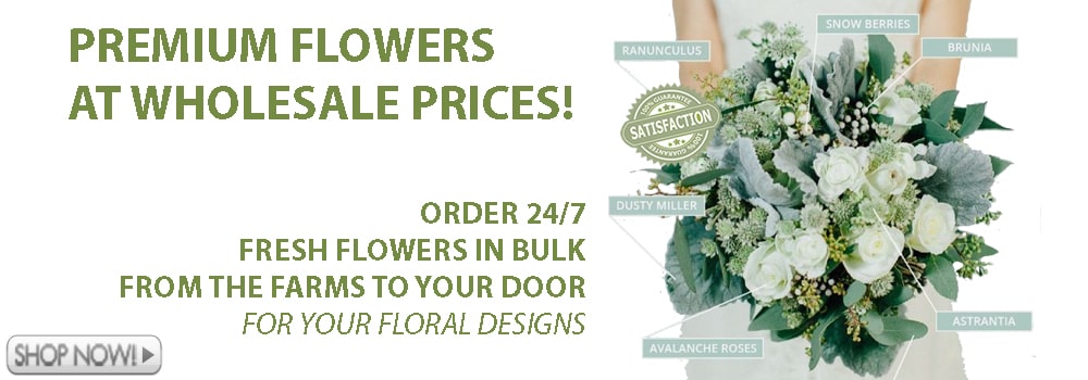 Fresh Cut Wholesale Flowers & Bulk Flowers
