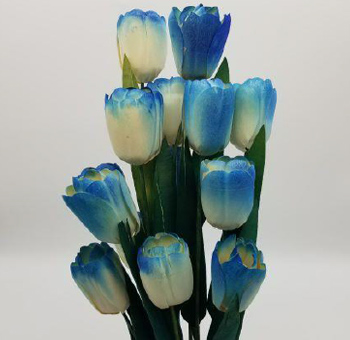 Wooden Tulips - Blue Bicolor