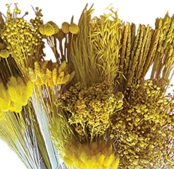 Dry Yellow Mix Designer Box, filled with carefully preserved botanicals in radiant yellow hues.