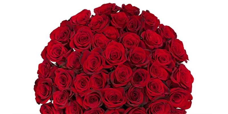 Bulk fresh red roses beautifully arranged, perfect for Valentine\'s Day celebrations.