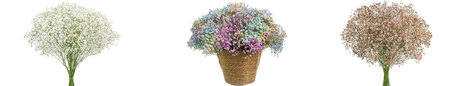 Elegant baby\'s breath flowers, perfect for weddings, Valentine\'s Day, and celebrations.