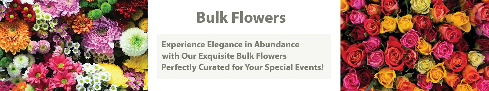 Beautiful bulk flowers in vibrant colors, perfect for weddings and events - experience unmatched ele
