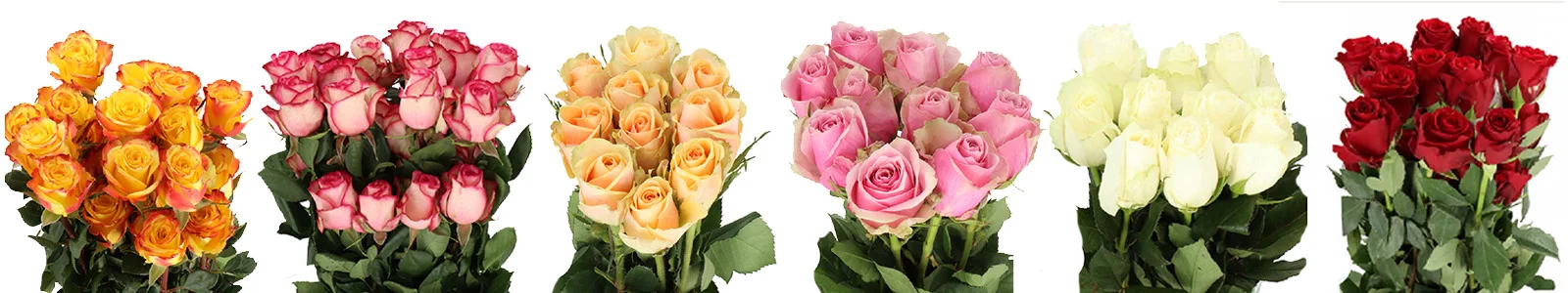Bulk fresh red roses beautifully arranged, perfect for Valentine\'s Day celebrations.