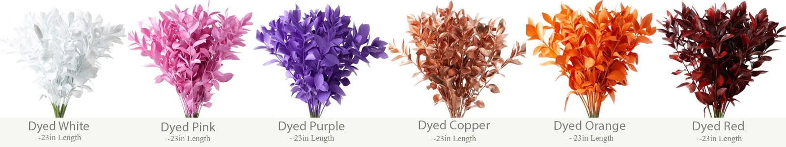 Dyed Ruscus stems in white, pink, purple, copper, orange, and red, measuring ~23 inches, ideal for bold, color-themed floral arrangements and decor.