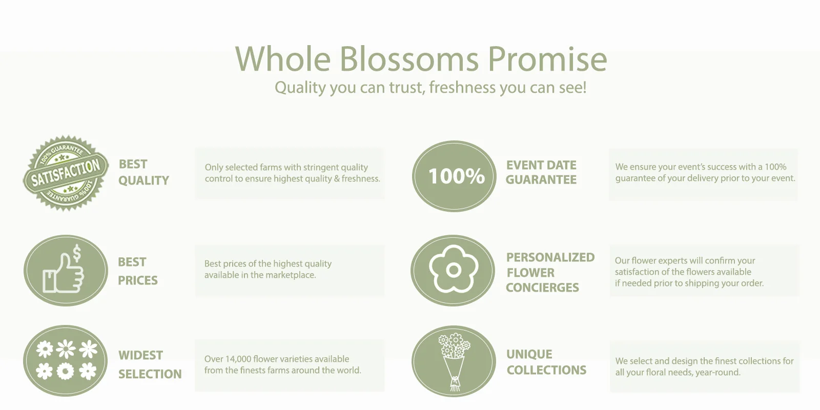 Wholesale Flowers Quality Freshness Guarantee