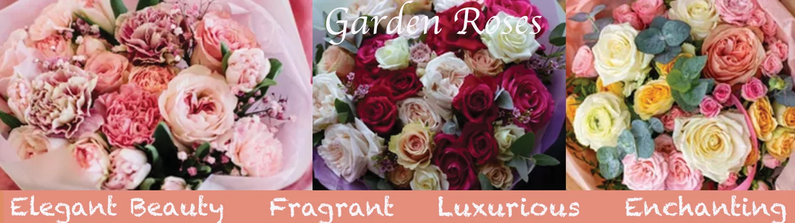 Romantic Garden Roses