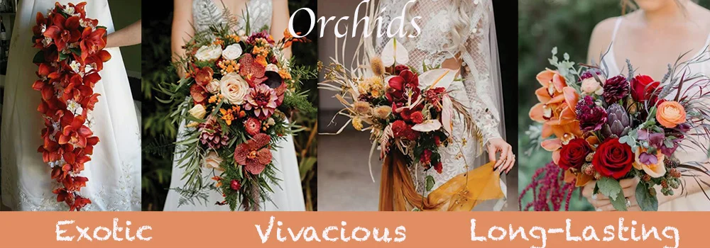 Orchids For Fall Season