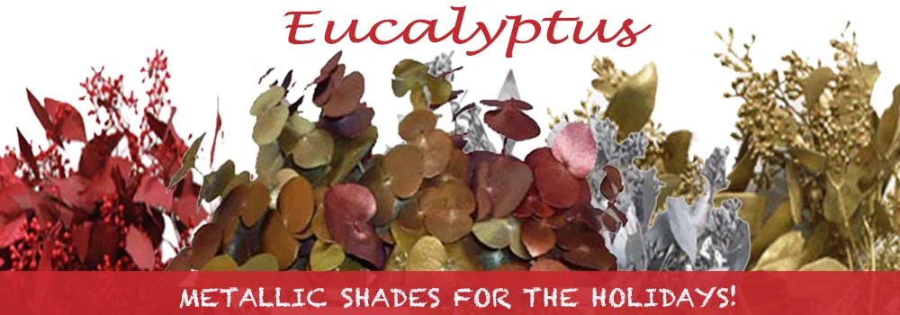 Eucalyptus adding a fresh, festive touch to holiday decor with their vibrant hue.