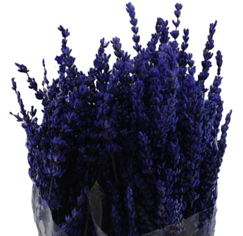 Preserved lavender flowers with soft scent, ideal for weddings, gifts, and rustic floral décor.