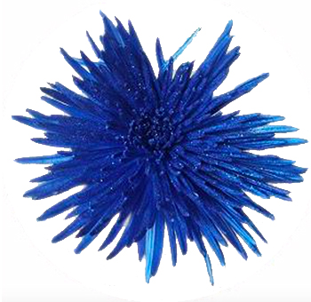 Dark blue Anastasia mums with metallic glitter, perfect for weddings, patriotic events, and bold styling.