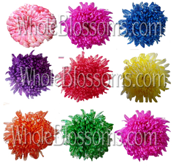 Assorted tinted football mums with vivid colors, perfect for weddings, centerpieces, and bold arrangements.