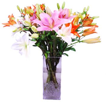 Flower Arrangement