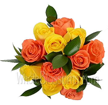 Fall Flowers