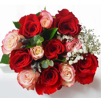 Red and bicolor white roses ideal for weddings, events, Valentine’s, Mother’s Day.