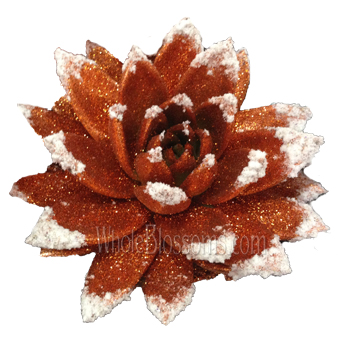 Bronze Succulent