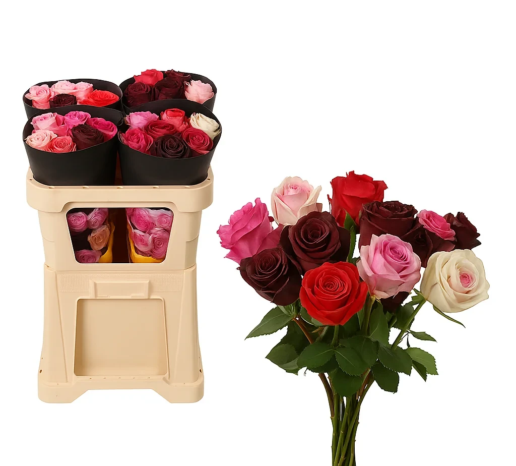 Fragrant Roses Choco Love Gift featuring a Choco Love Mix of chocolate-scented roses in red, pink, white, and dark hues, displayed in elegant packaging and bouquet form.