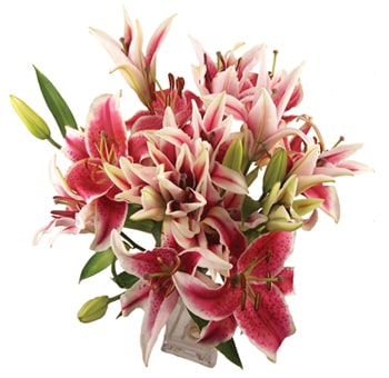 Elegant dark pink lily flower arrangement brings a romantic, dramatic touch to weddings, events, or luxury home floral décor.