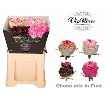 Fragrant Roses Choco Berry Gift display box with chocolate-scented roses in pink, white, and brown hues, alongside a close-up of individual blooms.