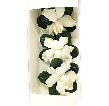 Gardenia Flower