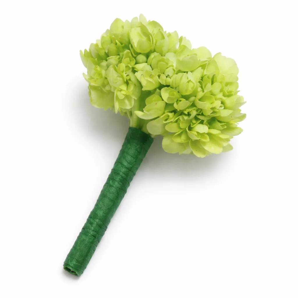 Green hydrangea boutonniere with fresh fullness, ideal for weddings, groomsmen, and garden floral décor.