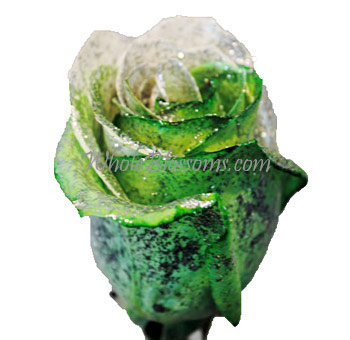 Glitter Green White Rose with white petals, green accents, and glitter finish, perfect for glamorous floral displays and holiday-themed arrangements.
