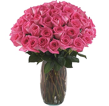 Lush hot pink rose floral arrangement bursting with bold color, perfect for weddings, gifts, and premium bulk floral occasions.
