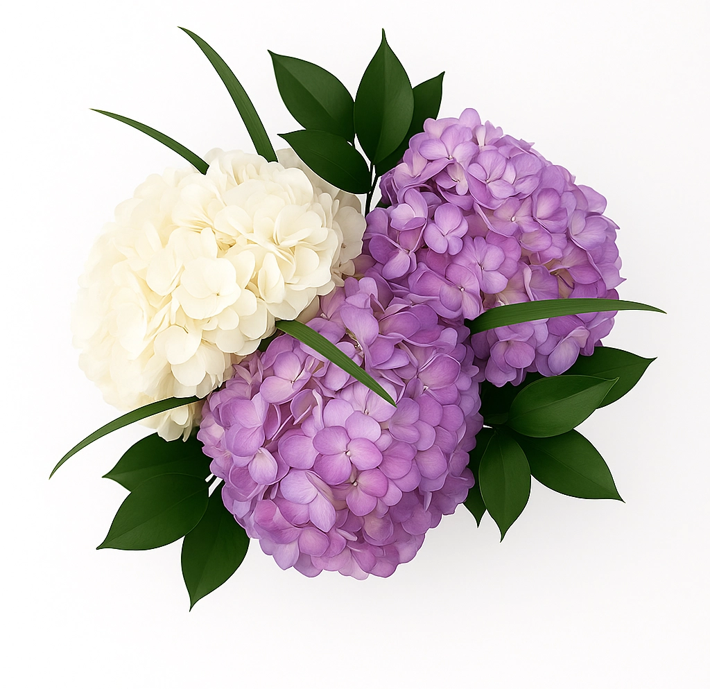A stunning Juliet Painted Wedding Centerpieces Hydrangea featuring hand-painted ivory, lavender, and lilac hydrangeas with lush greenery.