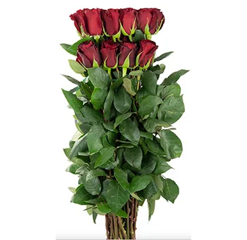 Vibrant eco-friendly roses arranged beautifully for a sustainable Valentine's Day gift.