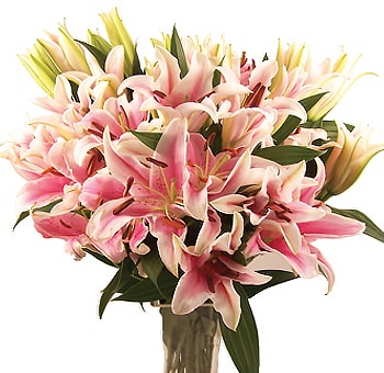 Elegant pink lily arrangements with soft romantic petals, perfect for weddings, bridal showers, and special floral events.