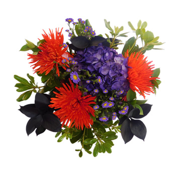 Elegant fall centerpiece with orange spider mums, purple hydrangeas, pittosporum, and ruscus.