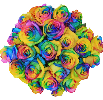 Multi-toned Rainbow Roses bringing vivid energy to weddings, pride events, or expressive floral arrangements.
