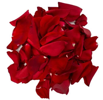 Red fresh rose petals scattered elegantly, symbolizing love for Valentine's Day.