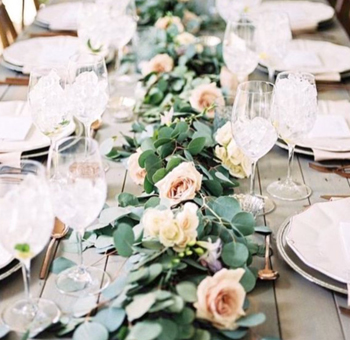 Fresh silver dollar eucalyptus garland, perfect for wedding arches, table runners, centerpieces, and elegant event décor.