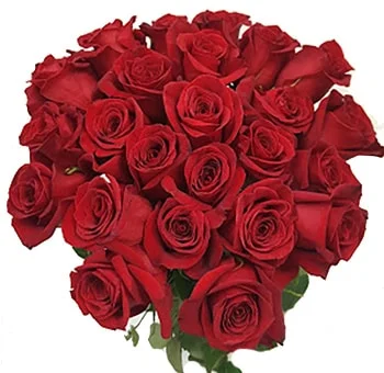 Beautiful fresh red roses arranged perfectly, ideal for Valentine's Day celebrations.