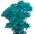 Cushion Poms – Blue Flowers Turquoise Tint