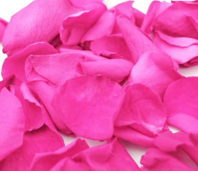 Vibrant hot pink rose petals, perfect for adding bold and lively color to weddings, events, or special occasions.